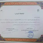 گواهی کارگاه آموزشی SPSS مقدماتی دکتر سید حسین ملک پور در دانشگاه شیراز
